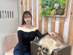 -青奢宠物·青奢猫舍