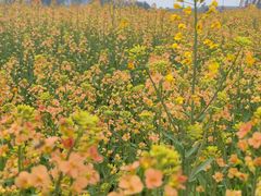 -中国天府农业博览园