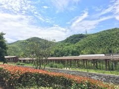 -宁波九龙湖开元度假村