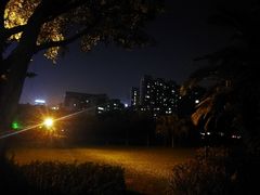 -东风公园