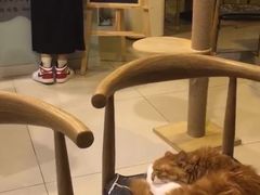 -平行世界·猫咖(首经贸店)