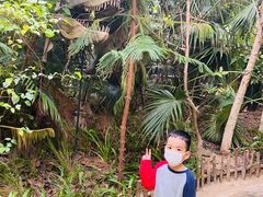 -呀路古热带植物园-恐龙馆