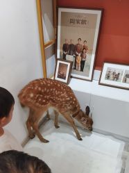 -米乐儿童摄影美学馆(怀柔店)