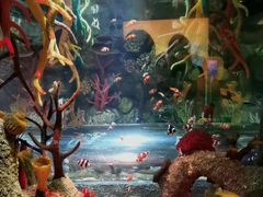 -沈阳海洋探索中心