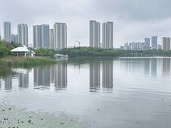 -月湖风景区