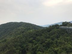 -呀诺达热带雨林