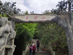 -王顺山国家森林公园
