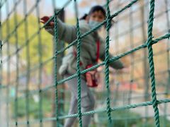 -上海共青森林公园