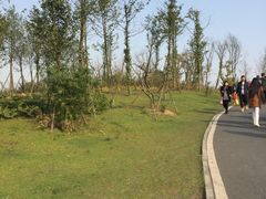 -白鹭湾湿地公园