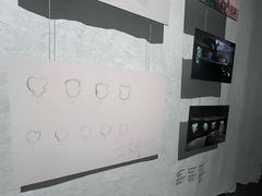 -上海当代艺术博物馆