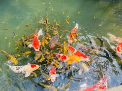 -新荣记(西溪湿地店)