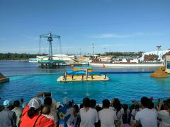 -秦皇岛乐岛海洋王国