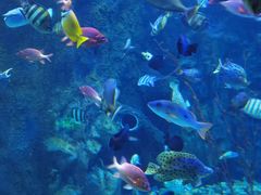 -太平洋海底世界