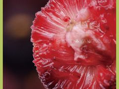 -温州一家人美食(西木头市店)