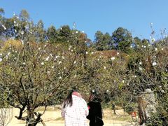 -南国桃园旅游度假区