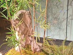 -绿茶餐厅(淮安吾悦广场店)