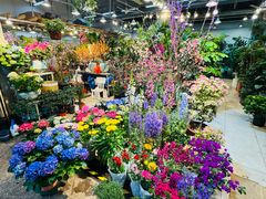 -双季花艺园艺市场(浦东店)