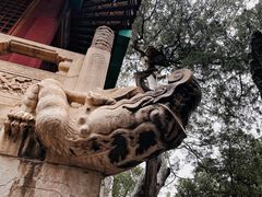 -故宫博物院(故宫)
