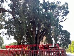 -四门塔风景区