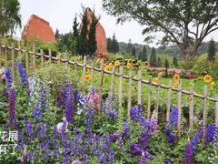 -深圳仙湖植物园