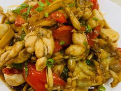 -品雅轩农家乐