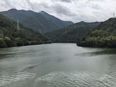 -芦茨金富饭庄·25年老字号·专做稻草鸡