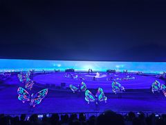 -鼎盛王朝康熙大典实景演出