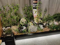 -将军府·鸡毛店(武侯祠店)
