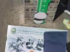 -都江堰中华大熊猫苑