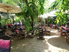 -Fern Forest Cafe