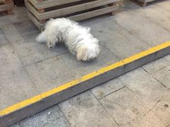 -布吉佳兆业广场