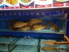 -老济南·地道济南菜(大明湖店)