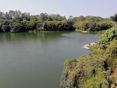 -天鹿湖森林公园