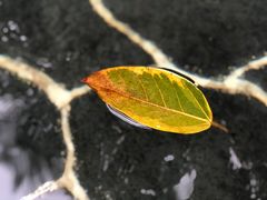 -广州锦绣香江度假别墅