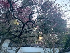 -岳王庙