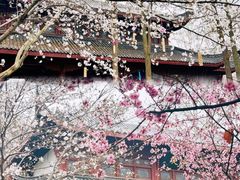 -堤角公园