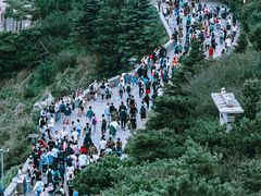 -泰山风景名胜区