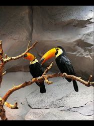 -Zoolung Zoolung动物主题公园(海信广场店)