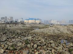 -黑石礁公园