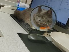 -安安宠医·臻爱宠物医院·宠保定点(营门口路分院)