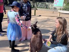 -费瑟代尔野生动物园