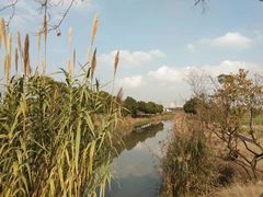 -嘉北郊野公园