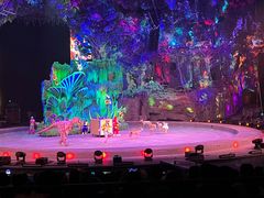 -广州长隆国际大马戏