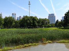 -后襄河公园