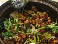 -清真重庆巴爷香辣鸡煲(南小巷店)