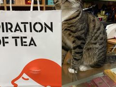 -喜茶(无锡荟聚中心店)