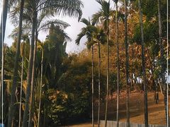 -深圳国际园林花卉博览园