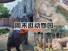 -武汉动物园
