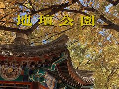 -汤厨(五道营店)