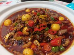 -虎虎龙虾大排档(双井店)